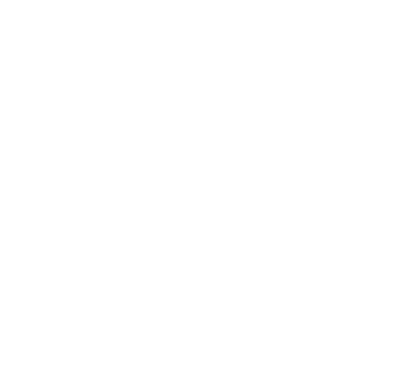 WF Aduanas
